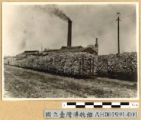 藏品(甘蔗進廠待榨)的圖片